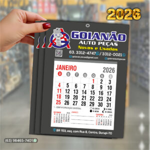 GoianÃo auto peÇas